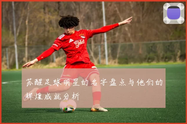 苏醒足球明星的名字盘点与他们的辉煌成就分析