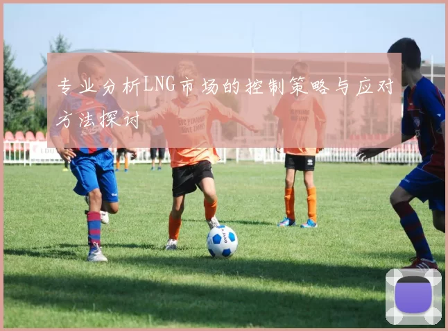 专业分析LNG市场的控制策略与应对方法探讨