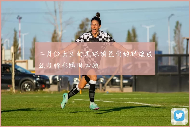 二月份出生的足球明星们的辉煌成就与精彩瞬间回顾