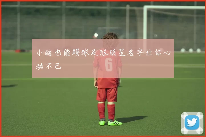 小狗也能踢球足球明星名字让你心动不已