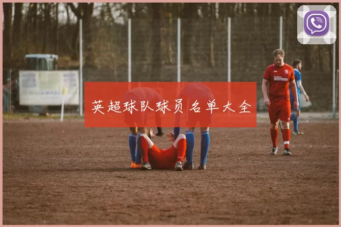 英超球队球员名单大全