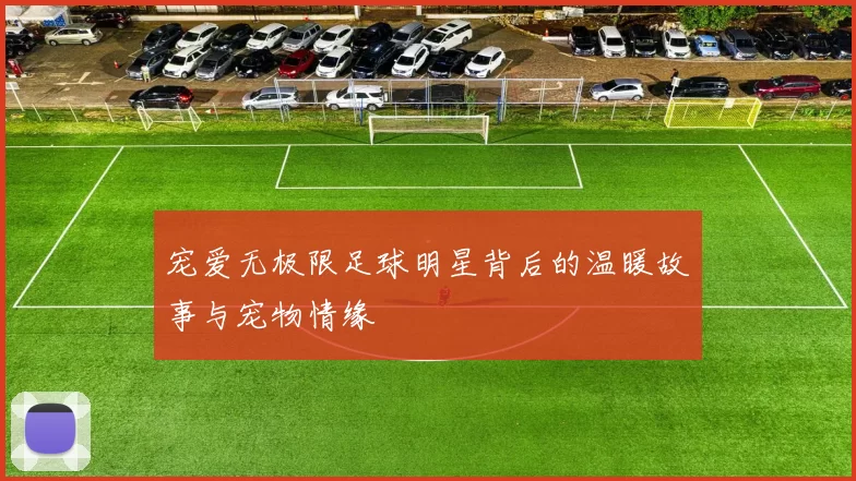 宠爱无极限足球明星背后的温暖故事与宠物情缘