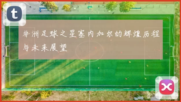 非洲足球之星塞内加尔的辉煌历程与未来展望