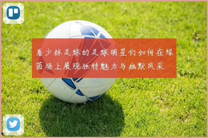看少林足球的足球明星们如何在绿茵场上展现独特魅力与幽默风采