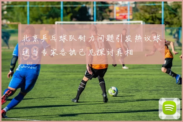 北京乒乓球队耐力问题引发热议球迷与专家各执己见探讨真相