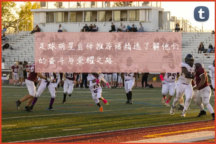 足球明星自传推荐语精选了解他们的奋斗与荣耀之路
