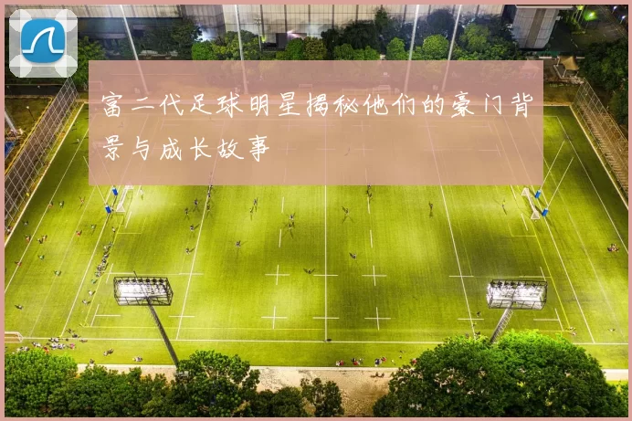 富二代足球明星揭秘他们的豪门背景与成长故事