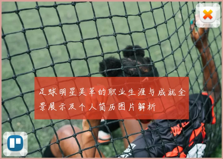 足球明星吴革的职业生涯与成就全景展示及个人简历图片解析