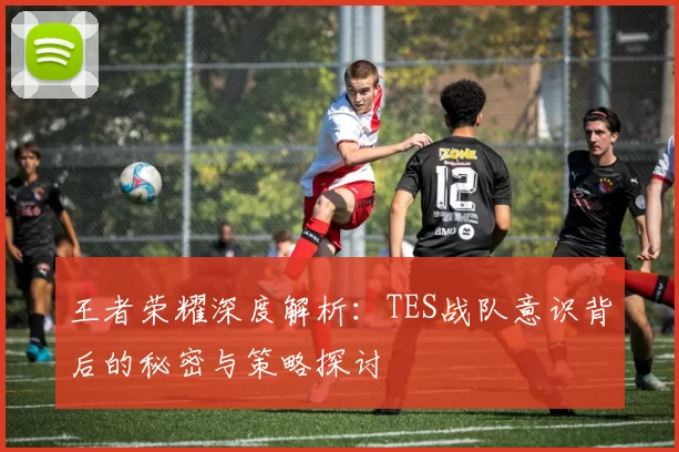 王者荣耀深度解析：TES战队意识背后的秘密与策略探讨