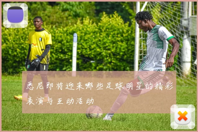 悉尼即将迎来哪些足球明星的精彩表演与互动活动