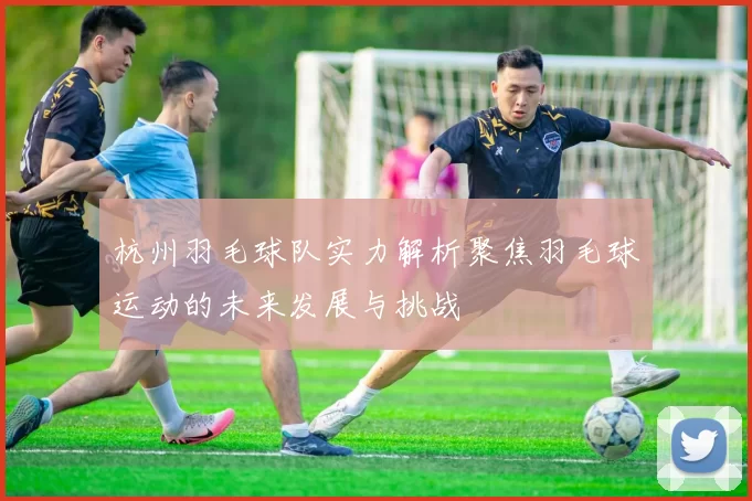 杭州羽毛球队实力解析聚焦羽毛球运动的未来发展与挑战