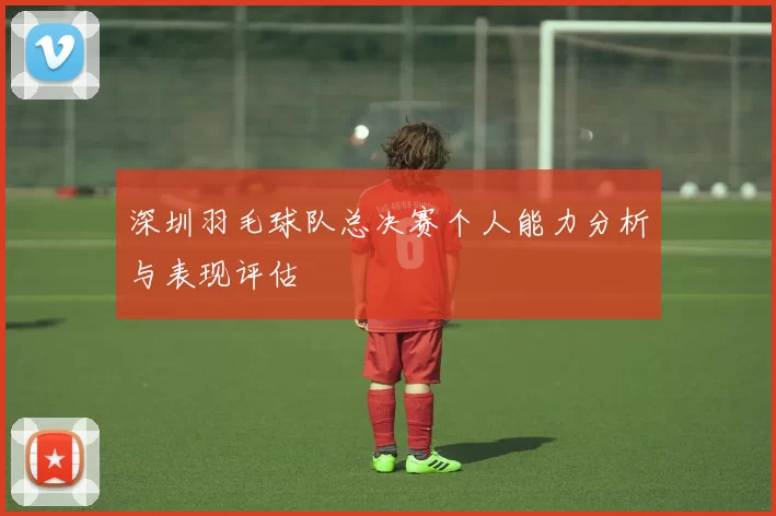深圳羽毛球队总决赛个人能力分析与表现评估
