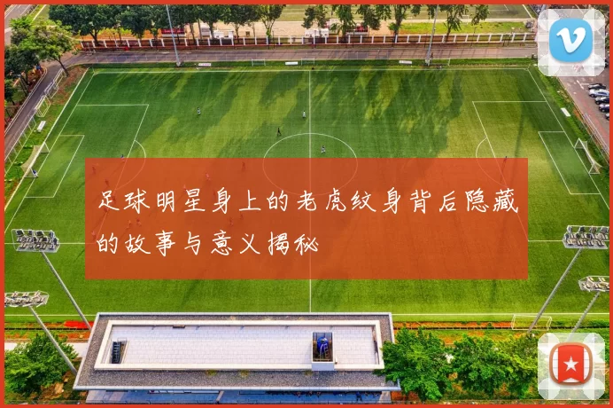 足球明星身上的老虎纹身背后隐藏的故事与意义揭秘
