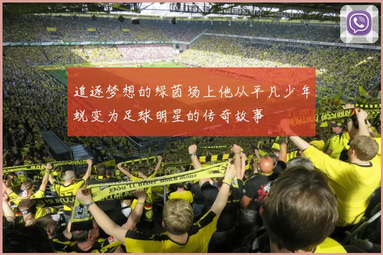 追逐梦想的绿茵场上他从平凡少年蜕变为足球明星的传奇故事