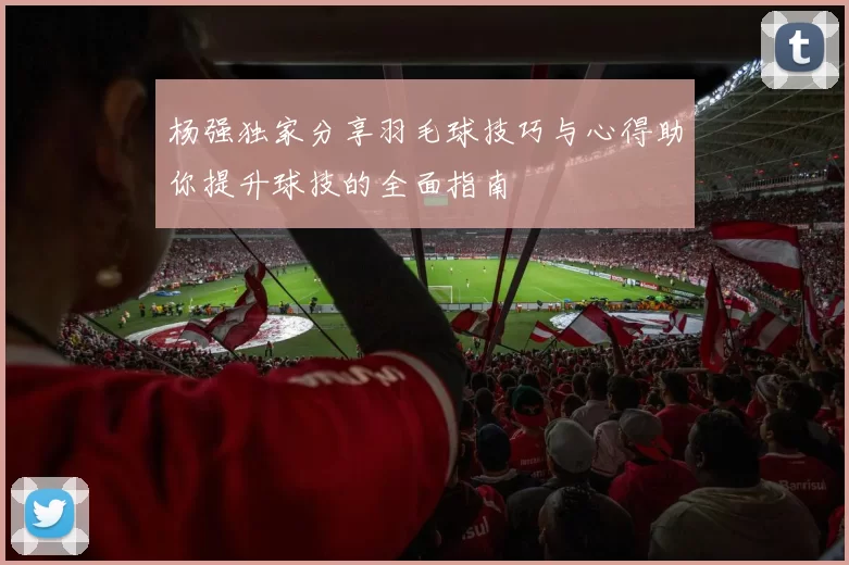 杨强独家分享羽毛球技巧与心得助你提升球技的全面指南