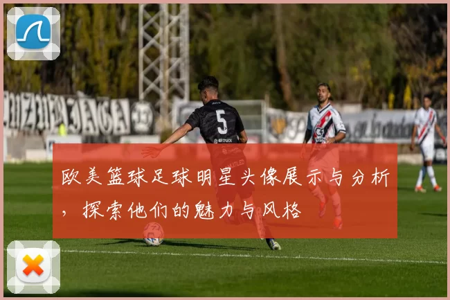 欧美篮球足球明星头像展示与分析，探索他们的魅力与风格