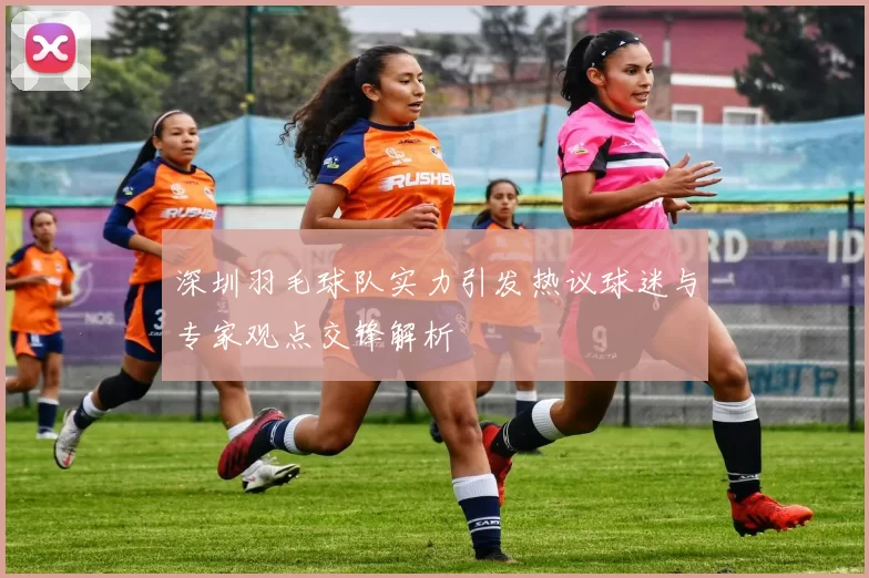 深圳羽毛球队实力引发热议球迷与专家观点交锋解析