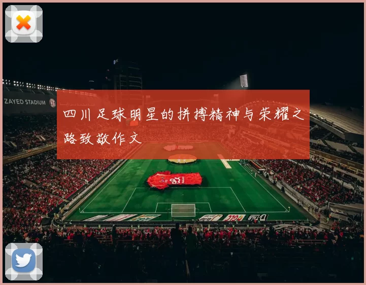 四川足球明星的拼搏精神与荣耀之路致敬作文