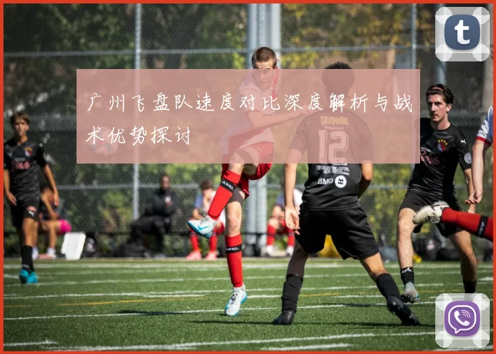 广州飞盘队速度对比深度解析与战术优势探讨
